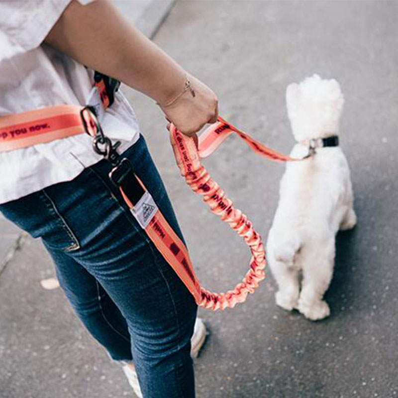 Running Gear Holder - Ayarlanabilir El Ücretsiz Köpek Tasma Köpek